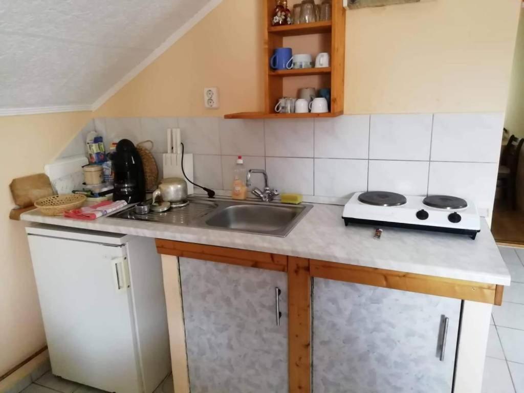 Tuja Vendégház Lajoskomárom Kültér fotó